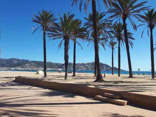 Apartamento Delta Muga con Vistas al Mar