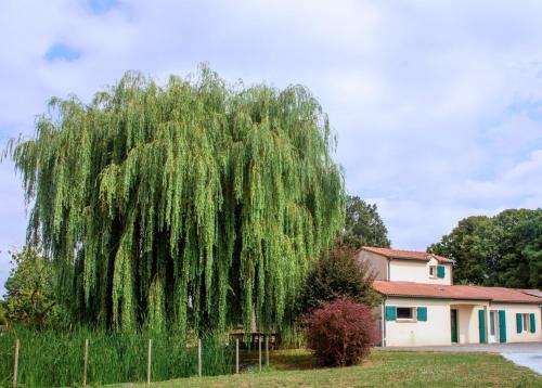 En have udenfor Grand Gîte Le Saule en Scie - 3 étoiles - Spa chauffé, 12 à 14 pers, jardin clos, 30 mn PuyduFou