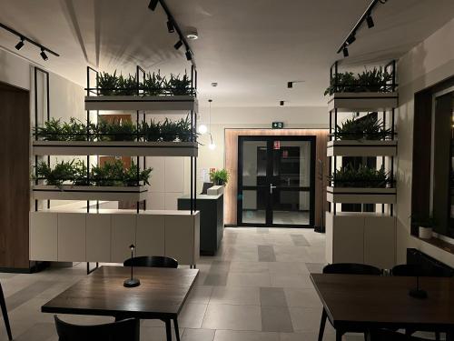 Φωτογραφία από το άλμπουμ του Wilczy Sen σε Ciechanow