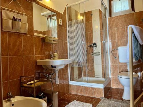 a bathroom with a sink and a shower and a toilet at Hármaspuszta Vendégház in Fülöpszállás