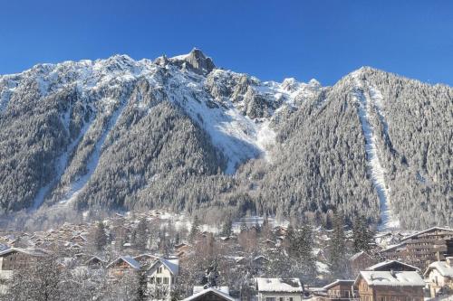una montaña cubierta de nieve con casas delante en Le Balcon du Brévent - Happy Rentals, en Chamonix-Mont-Blanc