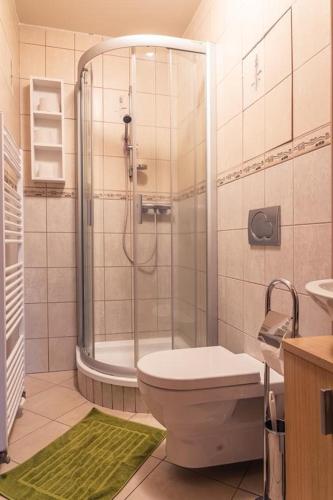 a bathroom with a shower and a toilet at Lomnica Orange Apart in Tatranská Lomnica