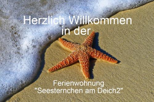 a starfish laying on the sand on a beach at Ferienwohnung Seesternchen am Deich2 C46 in Norden