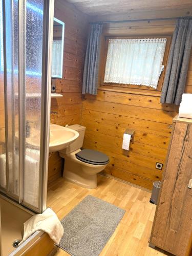 a bathroom with a toilet and a sink at Ferienwohnungen im Blockhaus Metzler in Schwarzenberg