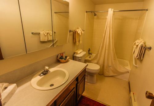 a bathroom with a sink and a toilet and a shower at Timbers at Island Park in Island Park