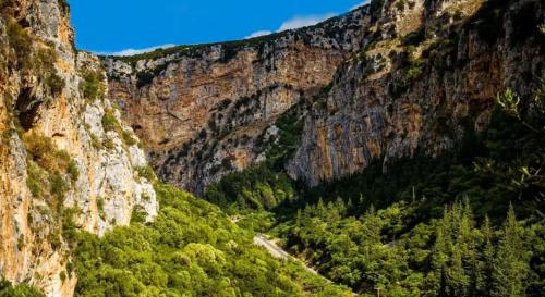 Traditional Stay near Lake Trichonida with Parking في Grammatikoú: اطلاله على جبل عليه اشجار