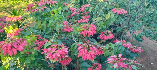 Ratanakiri Farmhouse & Trekking