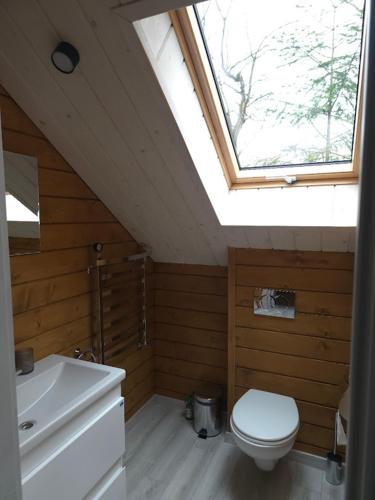a bathroom with a toilet and a sink and a skylight at Спас Резорт in Spas