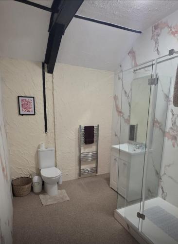 a bathroom with a toilet and a shower and a sink at The Coach House at The Bull Inn in Milton Keynes