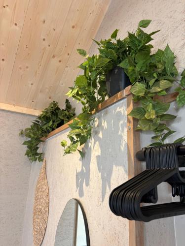 Billede fra billedgalleriet på Saltéa Beach House Noordwijk i Noordwijk aan Zee