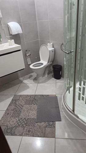 a bathroom with a toilet and a sink and a shower at Hermina apartmanház in Budapest