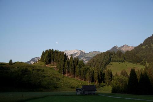 a house on the side of a hill next to a road at Der Tannenhof in Reutte