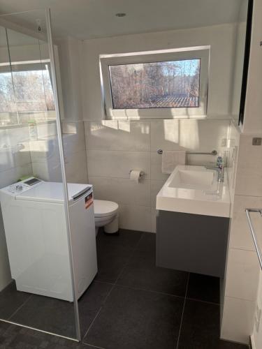 un bagno con lavandino e WC di Behagliches Cottage am See a Fürstenberg/Havel