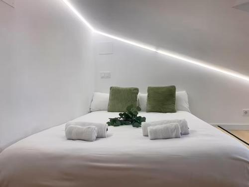 Barrio de las Letras - Attic in the City Center