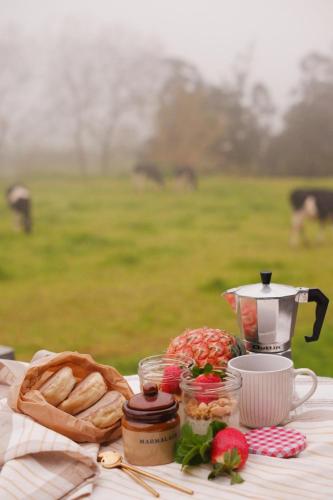 Jídlo v penzionu nebo okolí