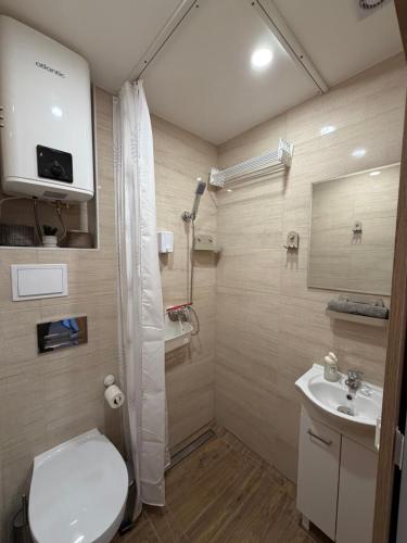 ein Badezimmer mit Dusche, Toilette und Waschbecken in der Unterkunft ApartmentsByMatyrafa-XIV in Tarnowitz