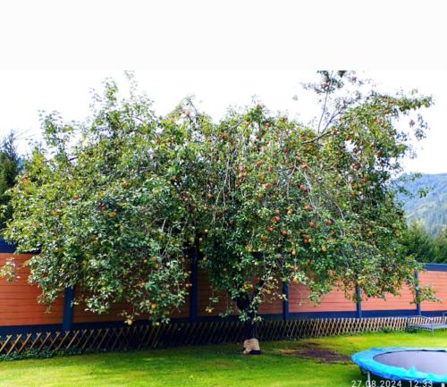 Zahrada ubytování Urlaub beginnt hier