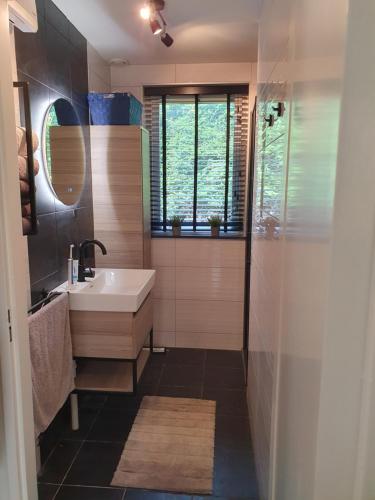ein Badezimmer mit Waschbecken und Spiegel in der Unterkunft 6 - Persoons Forest 217 Sauna Bungalow in Hernen