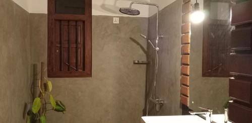 een badkamer met douche, wastafel en spiegel bij Guruwaththa Eco Villa 3 in Hikkaduwa