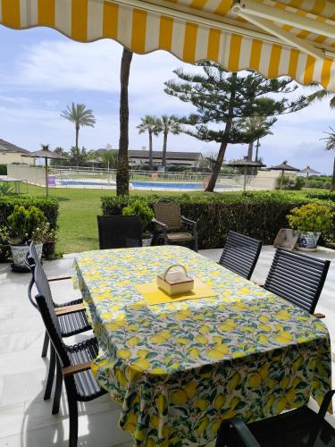 Mimosas Dream Garden