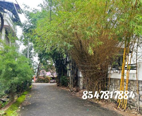 Un jardín fuera de Citadel Luxury Villa Trivandrum-Just 5 Km to Railway Station & 5 Min to Padmanabha Swamy Temple