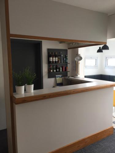 a kitchen with a counter with two potted plants at Première Classe Rennes sud Est in Chantepie