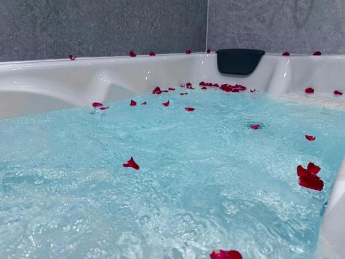a bath tub filled with red flowers in a bathtub at Sapphire Dreams in Attercliffe