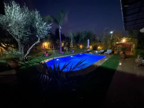 a swimming pool in a yard at night at Najma Ourika in Ourika