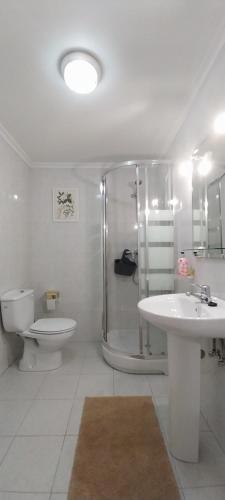 Un baño con ducha, lavabo e inodoro. en La Casa del Rio., en La Serna