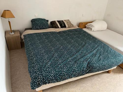 een slaapkamer met twee bedden met een blauw-witte deken bij Concorde in Besançon