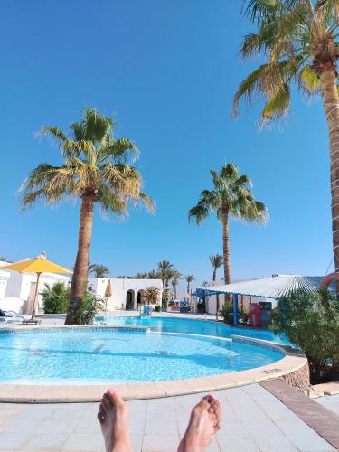 Πισίνα στο ή κοντά στο kanabesh hotel