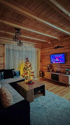 Televizorius ir (arba) pramogų centras apgyvendinimo įstaigoje Durmitor sky