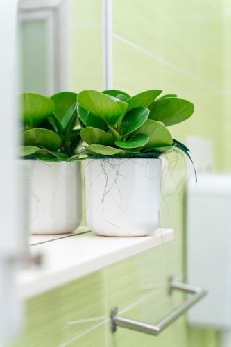 two plants in white pots sitting on a shelf at St Mark's Square - K Collection in Venice
