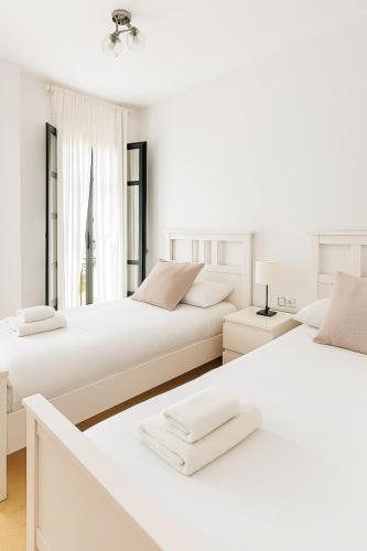 Duplex - Terraza solarium - Alameda de hercules