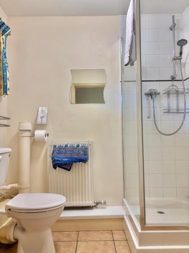 a bathroom with a toilet and a shower at The Farmyard at Doddington in Doddington
