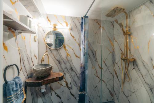 un baño con lavabo y ducha en La Comté à Blagnac, en Blagnac