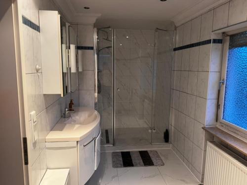 a bathroom with a shower and a sink at Vermietung Daniel in Nürnberg