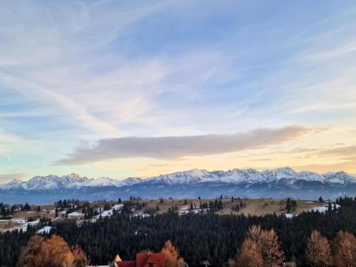 Příroda nedaleko prázdninového domu