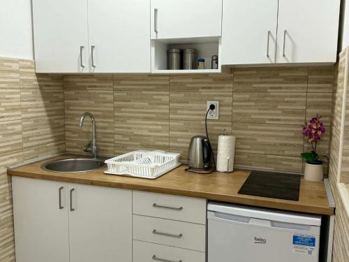 Apartmani Rajkovic的厨房或小厨房