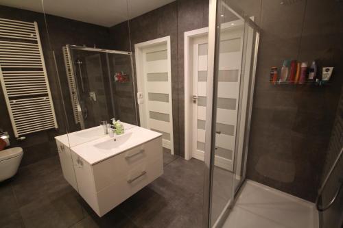 łazienka z umywalką i prysznicem w obiekcie Apartament na Złotej w Kielcach
