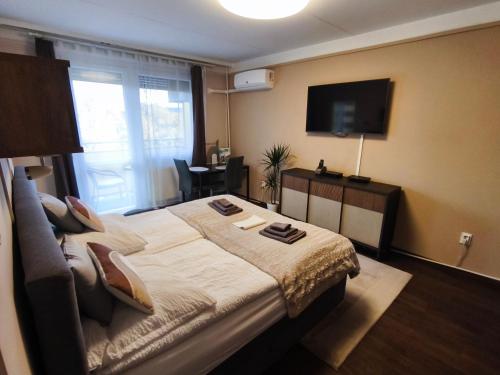 TV a/nebo společenská místnost v ubytování Katica Apartman