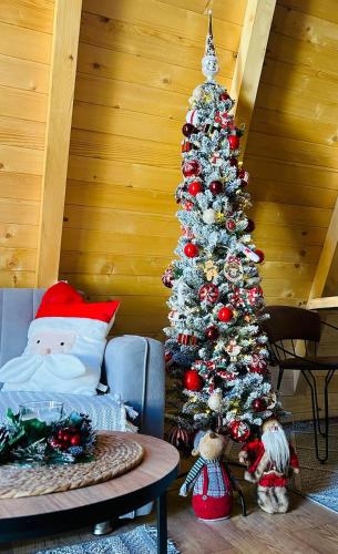 a christmas tree in the corner of a room at Brvnara BOGDAN in Kolašin