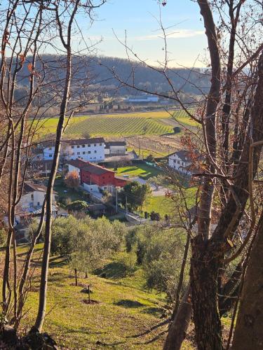 Příroda nedaleko bed and breakfast