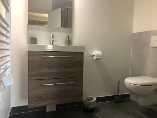 une salle de bains avec lavabo et toilettes dans l'établissement Chambres et table d'hôtes Le Pontet, à Arthès