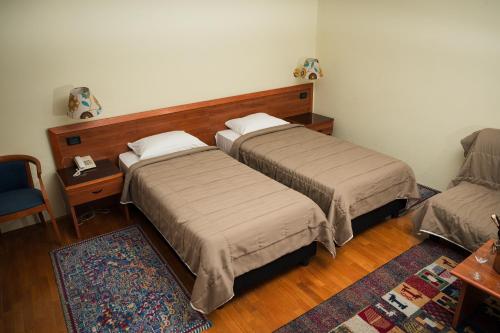 Llit o llits en una habitació de Hotel Terex