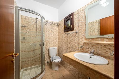 a bathroom with a toilet and a sink and a shower at Mandraki Paradise in Meyisti