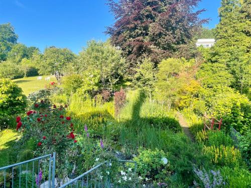 Zahrada ubytování Design apartment in Jugendstilvilla nähe Altstadt