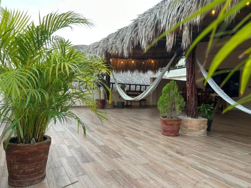 een patio met palmbomen en een hangmat in een resort bij Posada El Mágico in Mazunte