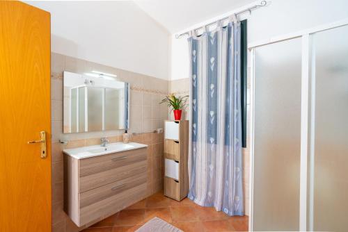 een badkamer met een wastafel en een douche bij Domus de Goene in Loceri