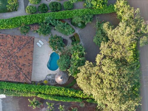 O grădină în afara Roca Blanca -Private Pool- Near To Conchal & Flamingo Beach